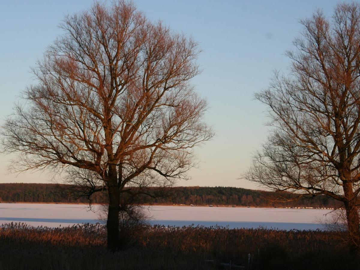 Ilonas Seeblick Daire Plau am See Dış mekan fotoğraf